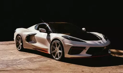 Sportives, hybrides, électriques : ces marques ont tout pour séduire les passi