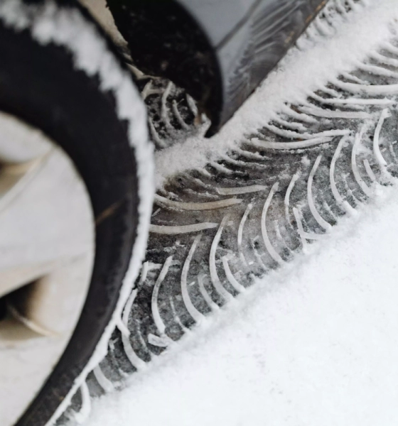 pexels-karola-g-6603941